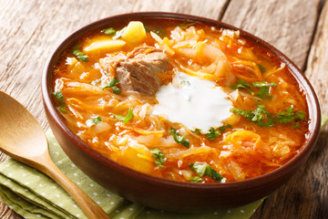 Traditional soup of Russia Shchi with beef served with sour cream close-up in a bowl. Horizontal