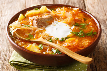 Shchi cabbage soup with vegetables and beef closeup in a bowl. horizontal