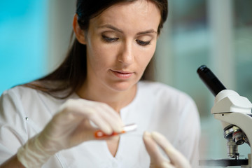 Female Medical Worker Conducting Laboratory Research With Microscope