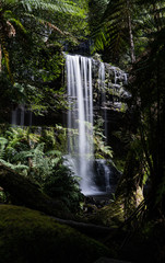 waterfall in the Jungle 