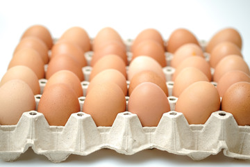 Brown chicken egges on white background.