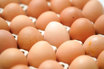 Brown chicken egges on white background.