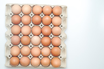 Brown chicken egges on white background.
