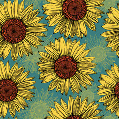 Sunflowers hand-drawn on a mint blue background. Naturalistic yellow-orange flowers in a seamless pattern. Summer print for design.