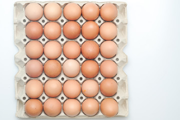 Brown chicken egges on white background.