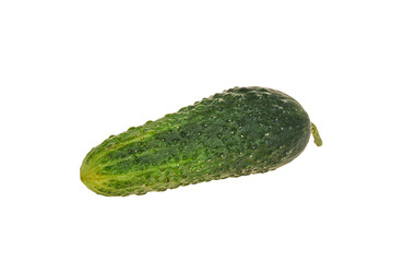 Green ripe fresh cucumber over background