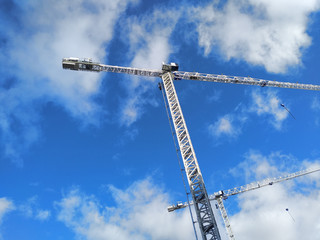 Cranes on a blue sky