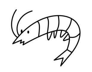 エビ(線画)