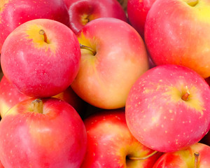 New Zealand apple on white background