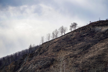 gray lifeless slope and trees against a cloudy sky, diagonally divided frame, spring wallpaper