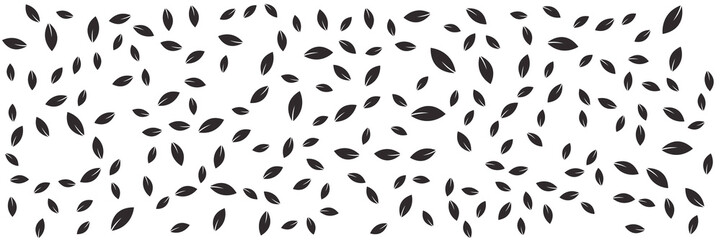 Beautiful romantic flower collection with roses, leaves, floral bouquets, flower compositions.