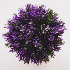 lavender bouquet
