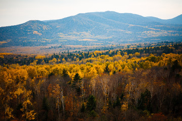 autumn landscape in mountains
