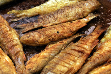 Close up grill cooked fish. rosy fried fish lies in pan.