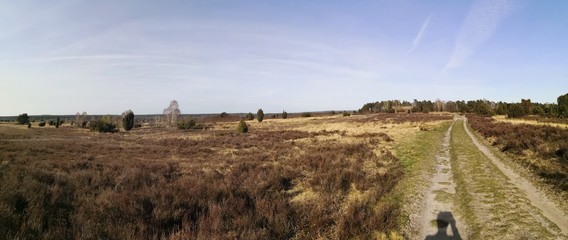 Luneburg Heath nature park landscape near Undeloh, panoramic view