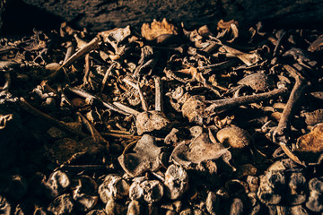bones and skulls in the catacombs. Killed by war. There are so many bones, mountains of stacked bones
