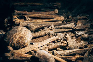 bones and skulls in the catacombs. Killed by war. There are so many bones, mountains of stacked bones