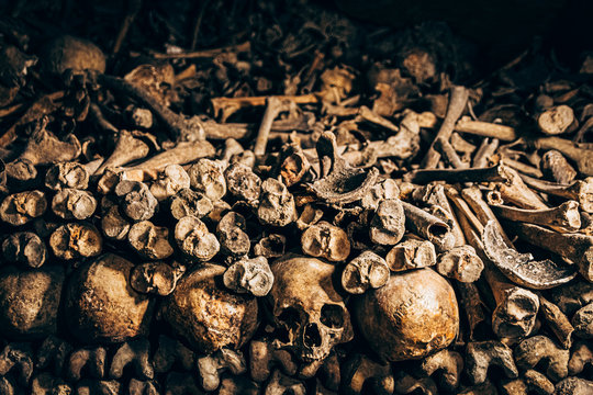 bones and skulls in the catacombs. Killed by war. There are so many bones, mountains of stacked bones