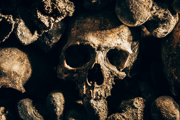 bones and skulls in the catacombs. Killed by war. There are so many bones, mountains of stacked...