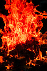 a Fire with coals and fire on nature picnic background. Burns out a bonfire for food on the street