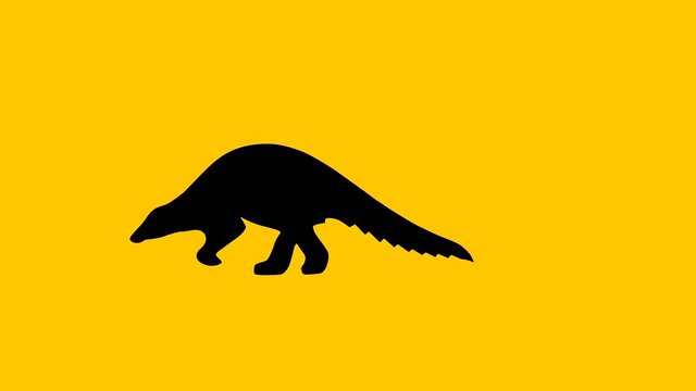 Walking pangolin, animation on the yellow background