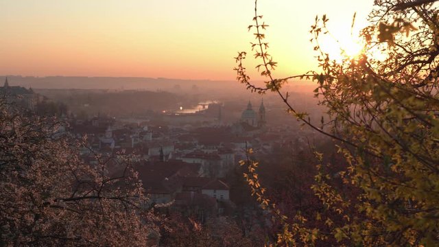 Scenic view of Prague tiled roofs during sunrise in spring. Towers of St Vitus and St. Nicholas church seen from Petrin hill viewpoint. Romantic golden sun glow in morning and blooming trees in a park