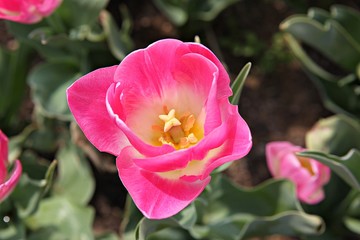 한국 경기도 시흥시 시흥갯골생태공원 입니다