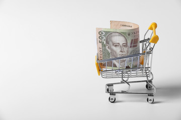 Banknote Ukrainian hryvnia in the shopping cart on shopping isolated on white background. close-up...