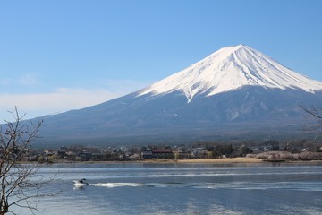 春の河口湖湖畔の富士山