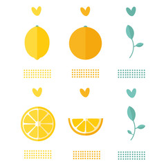 Fresh citrus icon. Colorful vector with citrus fruits collection. Decorative illustration, good for printing.