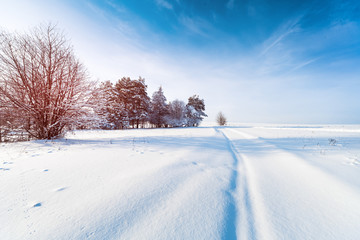 Obraz premium Winter road in the field with trees and blue sky