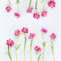 Lovely pink tulips frame composition on white background. Top view. Flat lay. Pretty layout....