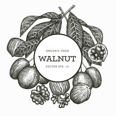 Hand drawn sketch walnut design template. Organic food vector illustration. Vintage nut illustration. Engraved style botanical background.
