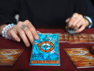 tarot card reading wheel of fortune teller astrologer divination selected focus - obrazy, fototapety, plakaty