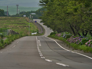 梅雨のあじさいロード
