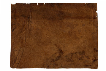 texture of  genuine leather 