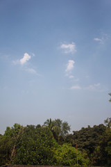 Sky view over green trees captured from rooftop in Bangladesh 