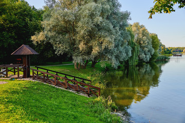 The shore of the lake surrounded by trees. View of the lake shore on a summer day. Stairs for descending to the water.
