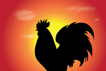 Vector silhouette of rooster at sunset. Symbol of poultry.