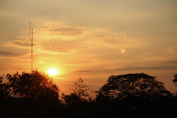 Obraz premium Sunset with the silhouette of the trees