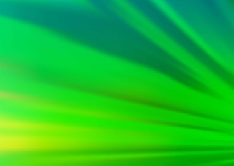 Light Green vector texture with colored lines. Shining colored illustration with narrow lines. Backdrop for TV commercials.