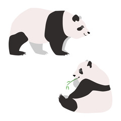 Two pandas. Illustration of standing and sitting pandas drawn in a flat style. Isolated objects on a white background. Vector 8 EPS