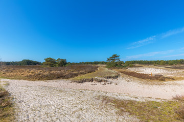 Naturschutzgebiet Dünenheide auf der Insel Hiddensee