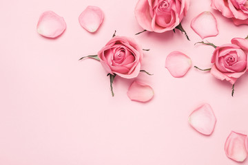 Floral monochrome composition of rose buds and petals on pink background, copy space