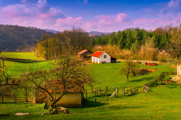 Small farm in mountain village. Spring. Fields in may.
