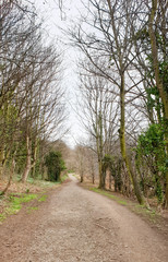 Fife Coastal Path, from North Queensferry to Burntisland - Scotland - UK