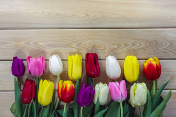 mix multi-colored tulips on a wooden background with a place for the inscription