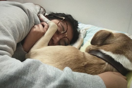 Woman Sleeping With Dog On Bed At Home