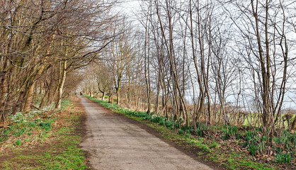 Fife Coastal Path, from North Queensferry to Burntisland - Scotland - UK