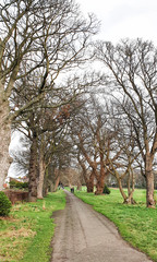 Fife Coastal Path, from North Queensferry to Burntisland - Scotland - UK